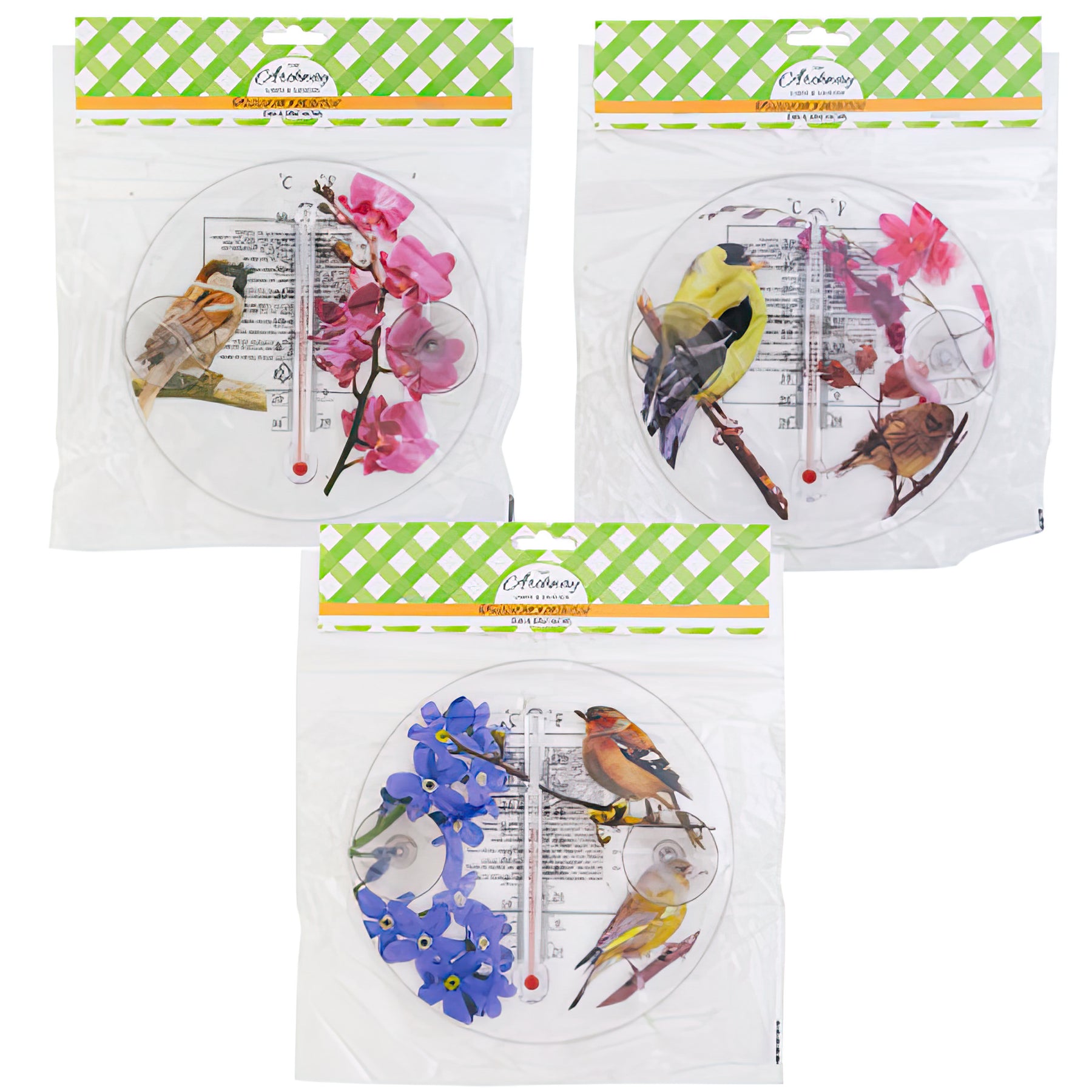 Colorful Bird & Flower Outdoor Thermometer - Charming Window Decor