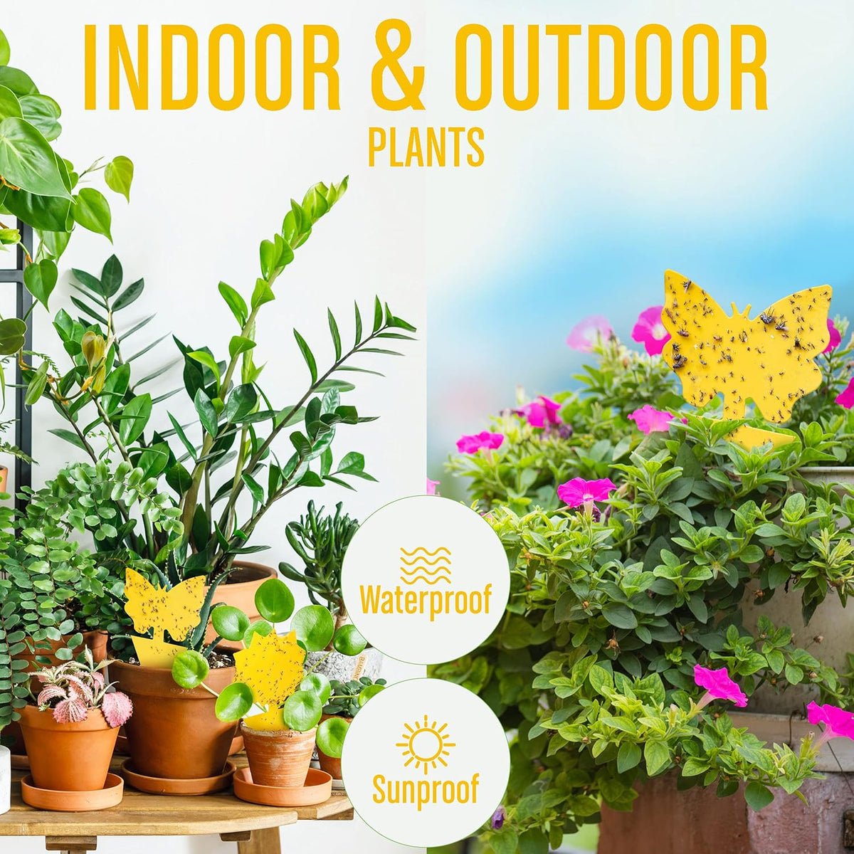 24ct Super Sticky Insect Traps – Indoor/Outdoor Yellow Fly Traps for House & Plants