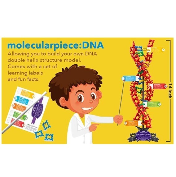 Secret of Life DNA Building Block Toy Set 256pc