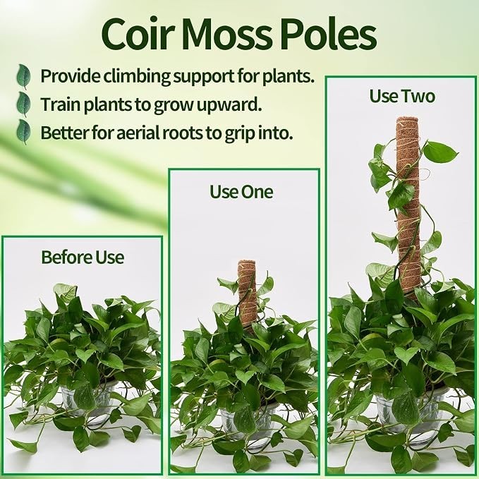 Three images showcase the use of coir moss poles for plants: the first labeled "Before Use" shows a lush plant, the second labeled "Use One" displays a single moss pole partially covered with climbing vines, and the third labeled "Use Two" highlights two poles fully integrated with the plant, demonstrating its upward growth.