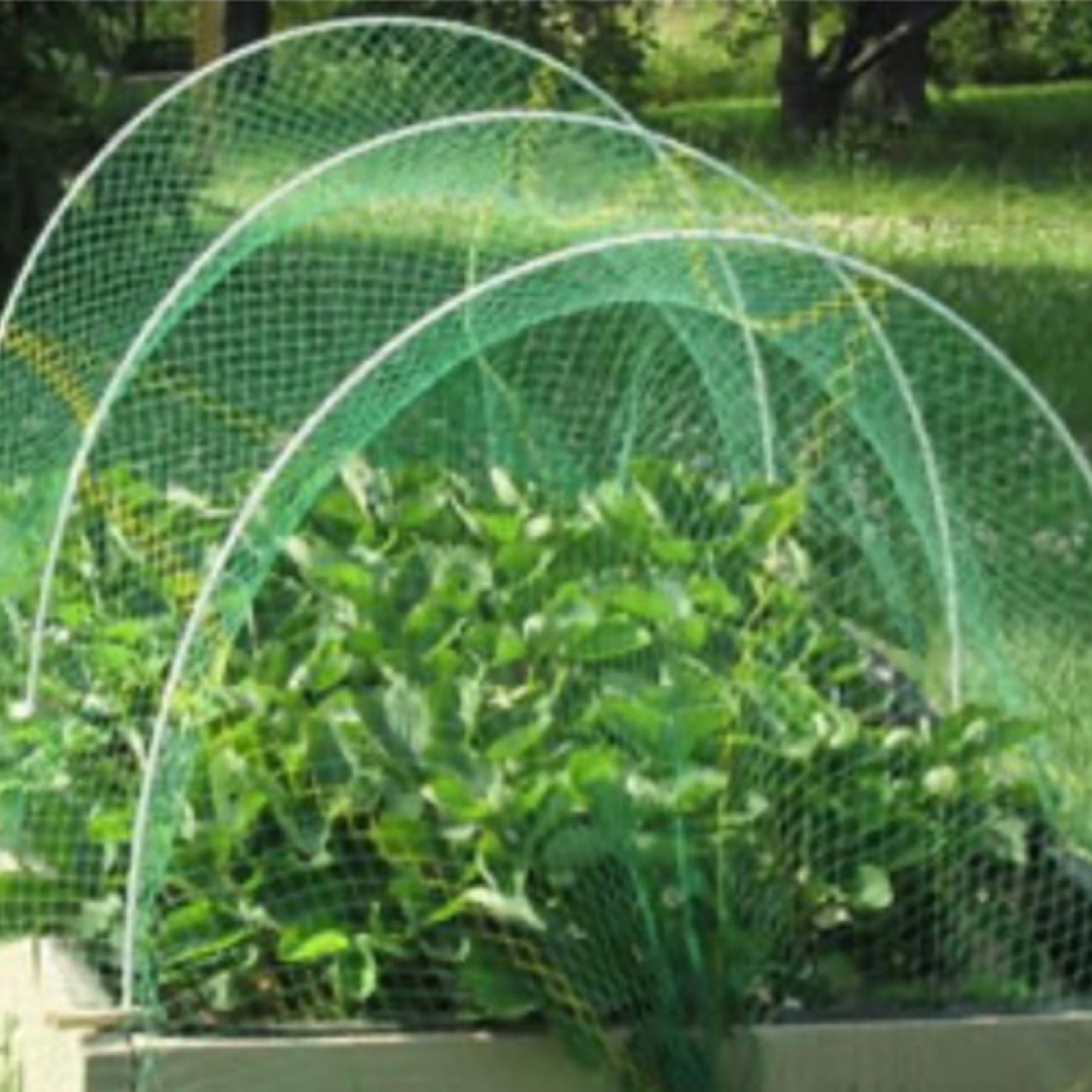 6 x 33 ft Green Garden Netting - Protect Your Garden From Pests