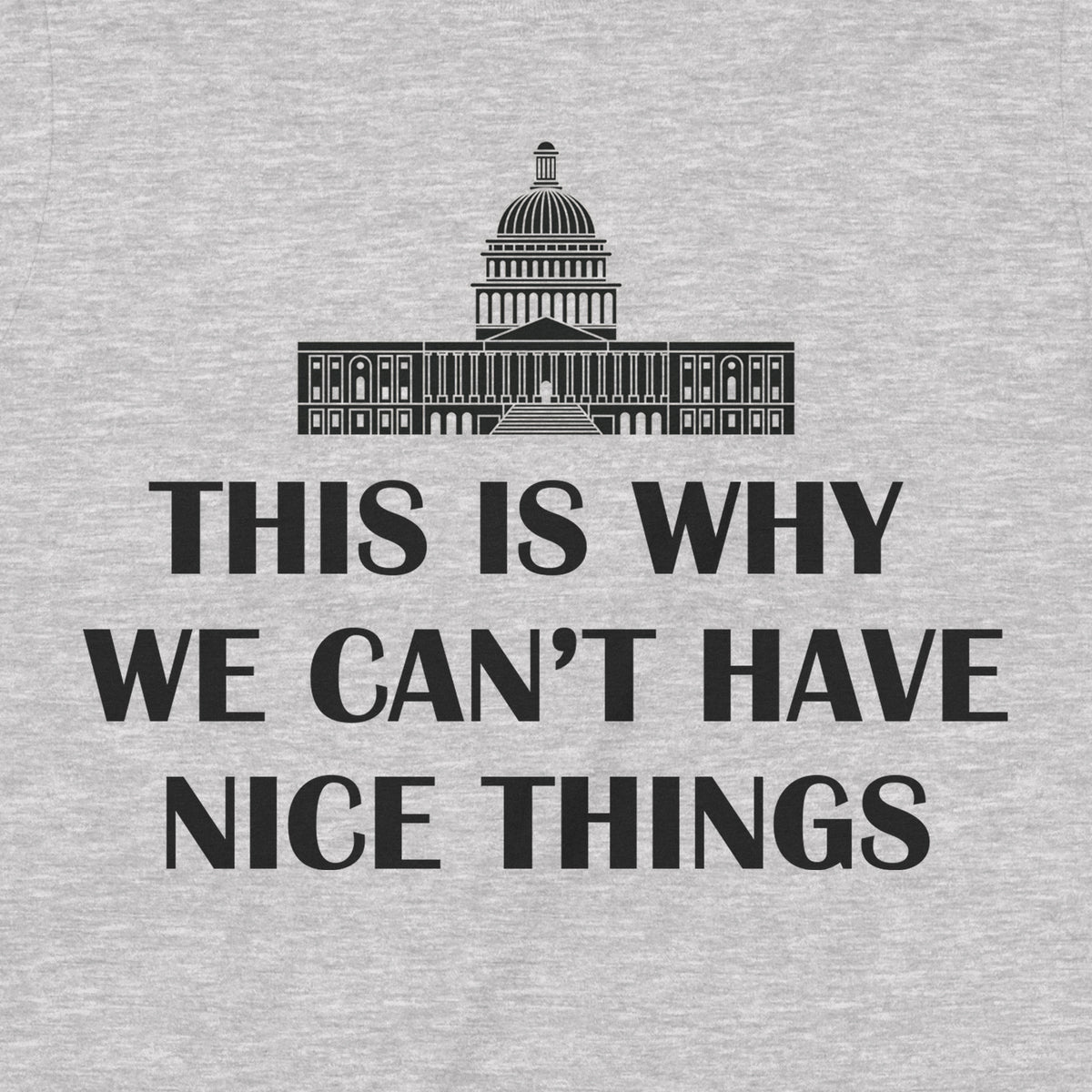 "Can't Have Nice Things" Premium Midweight Ringspun Cotton T-Shirt - Mens/Womens Fits