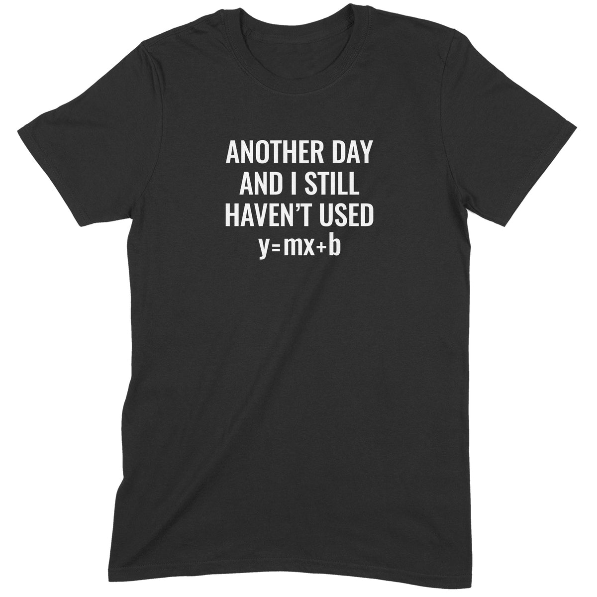 "Another Day" Premium Midweight Ringspun Cotton T-Shirt - Mens/Womens Fits