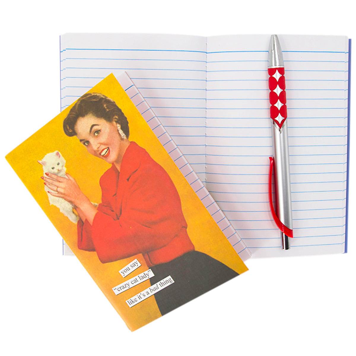 2pc Anne Taintor 4x6 Journal Notebook Set – Funny Retro Designs!