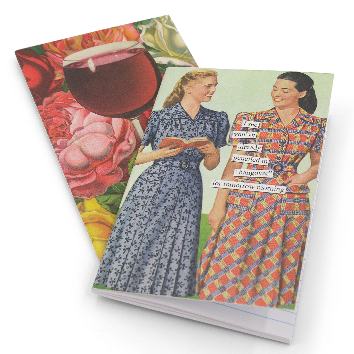 2pc Anne Taintor 4x6 Journal Notebook Set – Funny Retro Designs!