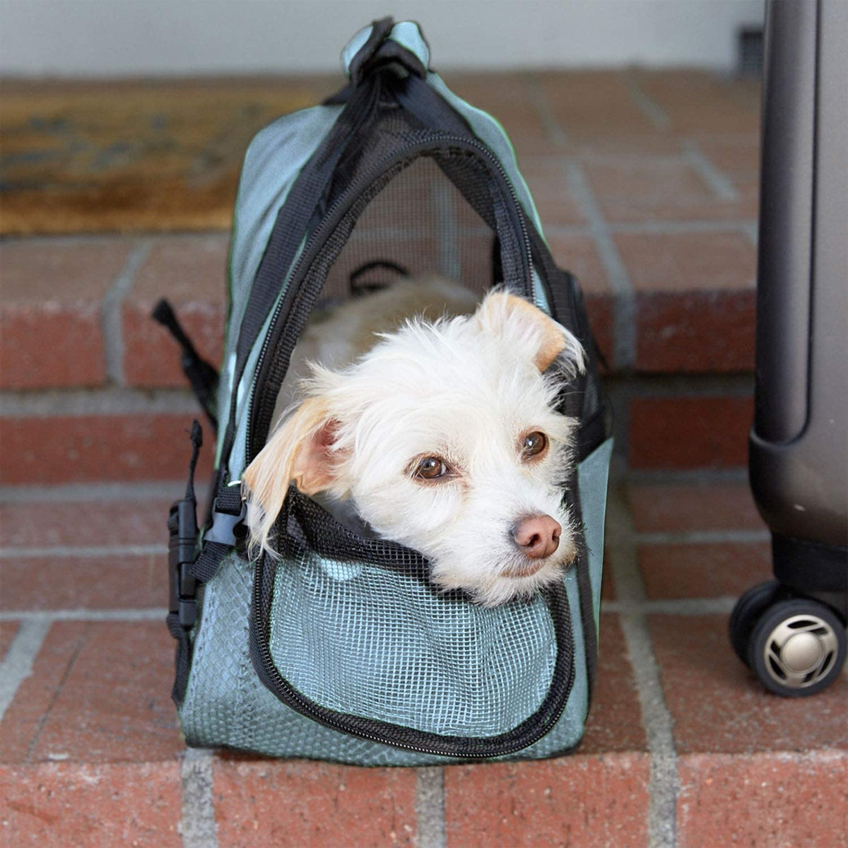 Paws & Pals Pet Travel Cozy Commuter – Soft Padded Shoulder Tote