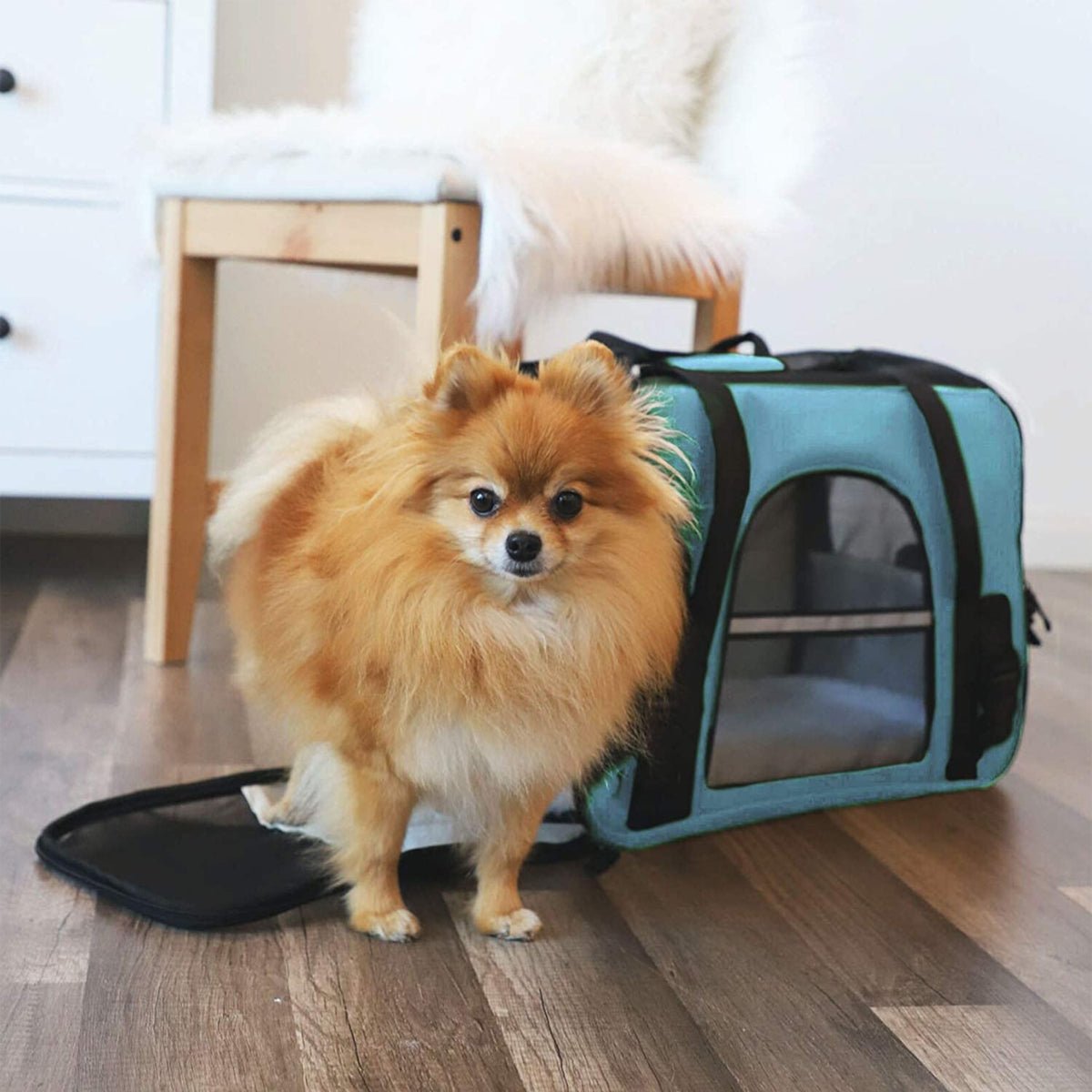 Paws & Pals Pet Travel Cozy Commuter – Soft Padded Shoulder Tote