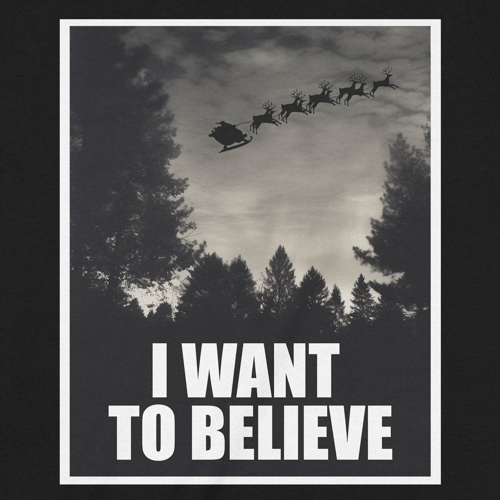 "I Want To Believe" Premium Midweight Ringspun Cotton T-Shirt - Mens/Womens Fits