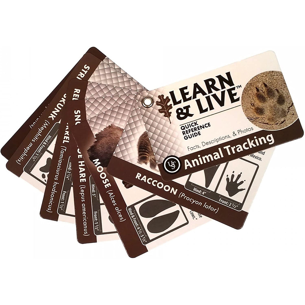 UST Learn & Live Cards – Pocket Size Outdoor Reference Guides