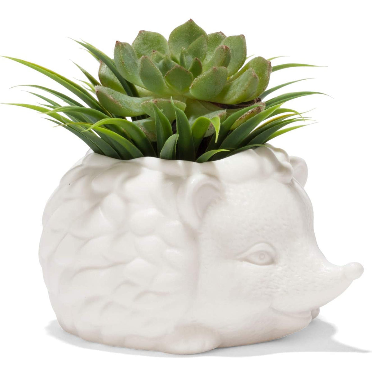 Kikkerland Prickles The Hedgehog Porcelain Mini Planter