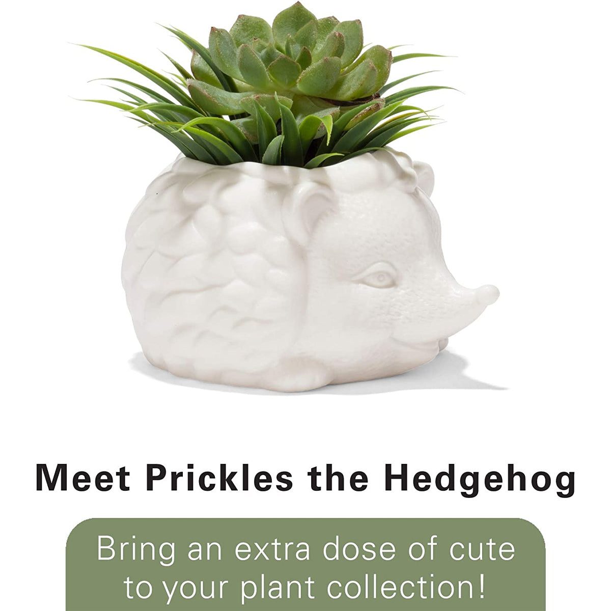 Kikkerland Prickles The Hedgehog Porcelain Mini Planter