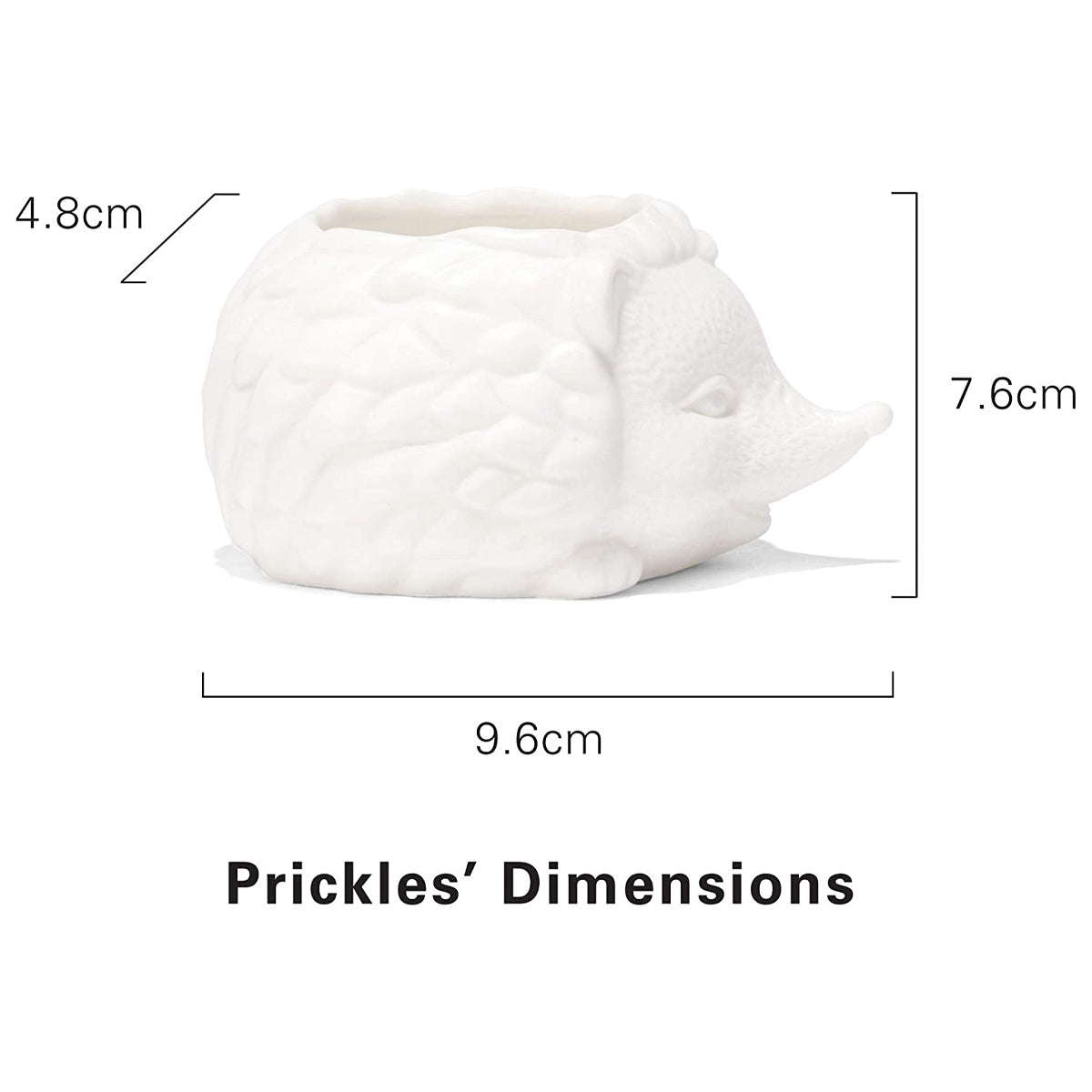 Kikkerland Prickles The Hedgehog Porcelain Mini Planter