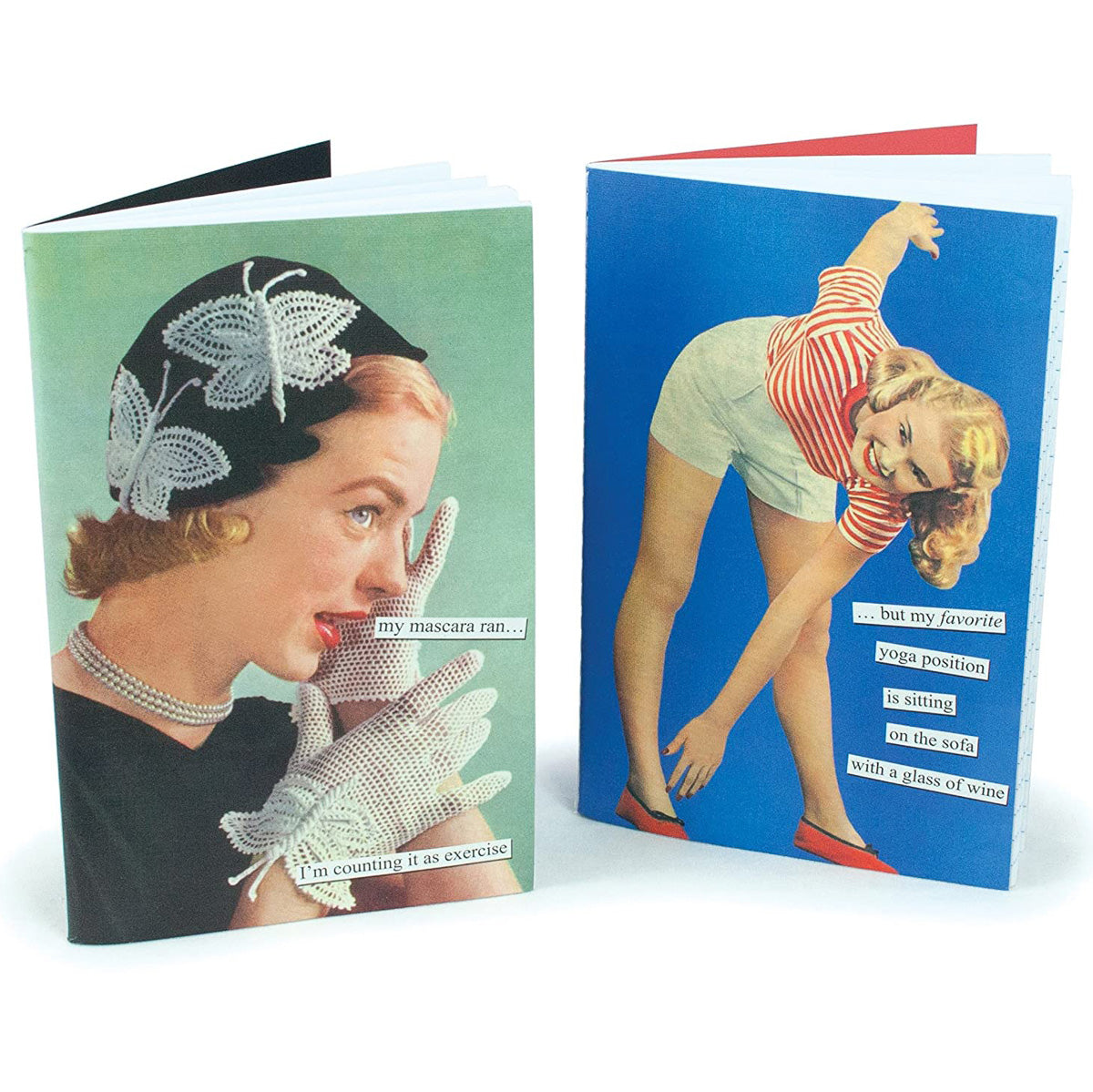 2pc Anne Taintor 4x6 Journal Notebook Set – Funny Retro Designs!