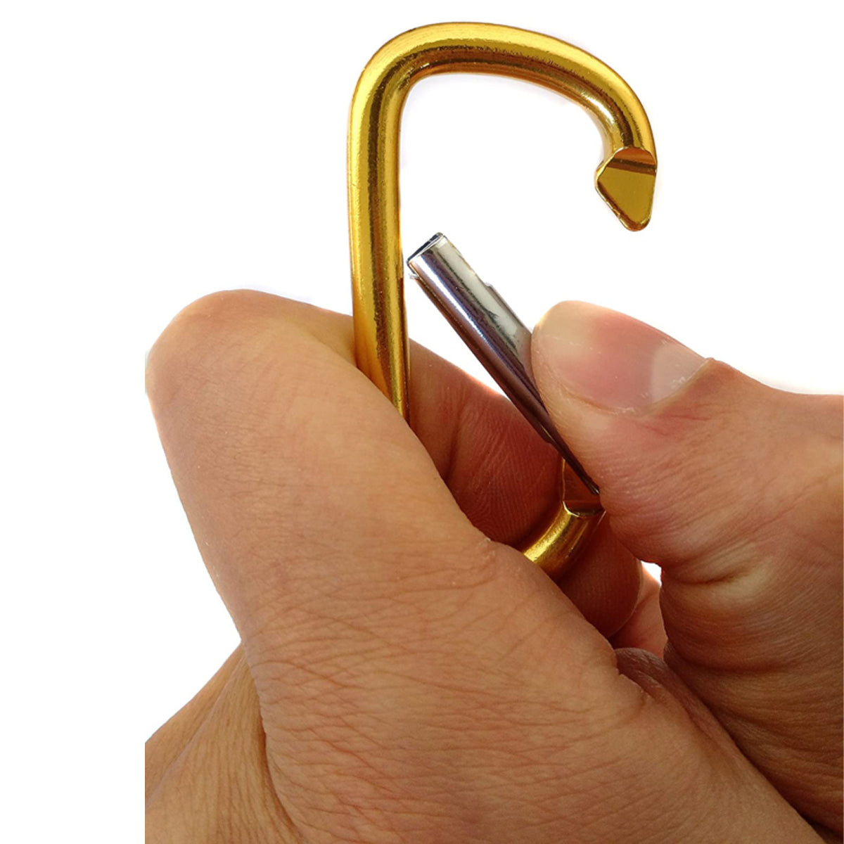 20pk Gold Lion Gear 2.25” Carabiners – Aluminum, Assorted Colors