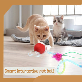 Smart Motion Cat Toy Ball – Interactive Self-Rolling Pet Toy