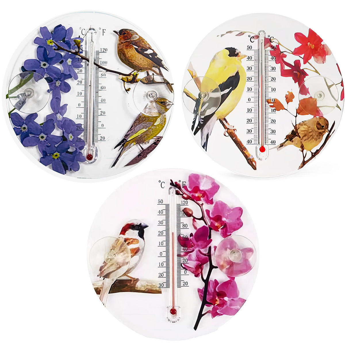 Colorful Bird & Flower Outdoor Thermometer - Charming Window Decor