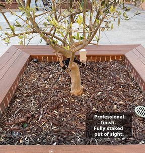 Heavy Duty Tree Stake Kit – 3 x 12" Stakes, Straps & 30ft Rope