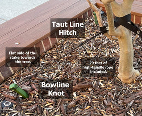 Heavy Duty Tree Stake Kit – 3 x 12" Stakes, Straps & 30ft Rope