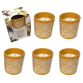 6pk Regina Scented Candle – 4.6 oz Terracotta Jar – Multiple Fragrances