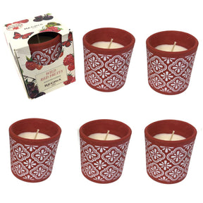 6pk Regina Scented Candle – 4.6 oz Terracotta Jar – Multiple Fragrances