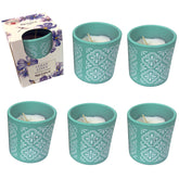 6pk Regina Scented Candle – 4.6 oz Terracotta Jar – Multiple Fragrances