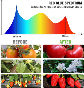 150 LED Grow Lights for Indoor Plants – Red Blue Spectrum with Timer & Dimmable Settings