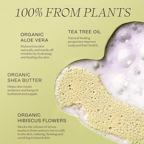 2pk InGreendients Natural Body Wash – 100% Plant-Based, Vegan & Moisturizing, 16oz Ea