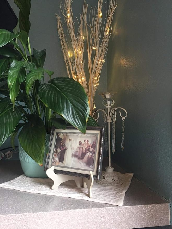 36-Inch Natural Willow Twig Lighted Branch, 16 LED, USB or Battery Powered