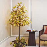 6FT Lighted Oak Tree - 88 LED Warm White Light - Low Voltage