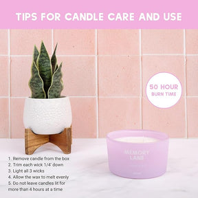 8 oz Memory Lane Jasmine and Pear 3-Wick Candle