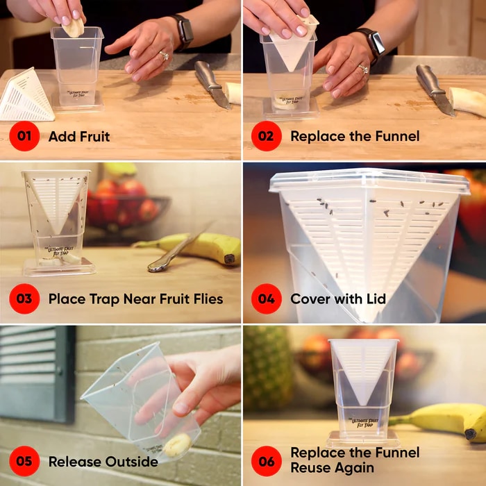 Reusable Non-Toxic Fruit Fly Trap - Compact Clear Design One Size