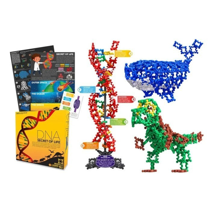 Secret of Life DNA Building Block Toy Set 256pc