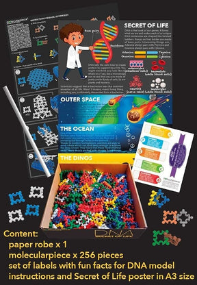 Secret of Life DNA Building Block Toy Set 256pc