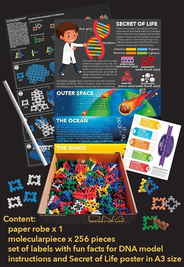Secret of Life DNA Building Block Toy Set 256pc