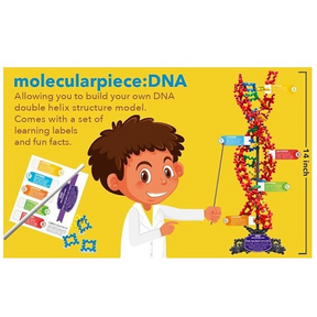A child in a lab coat is holding a pointer and standing next to a colorful DNA double helix model, which is labeled to show components like adenine and guanine. The background is bright yellow, and there are learning labels and fun facts visible on the side.