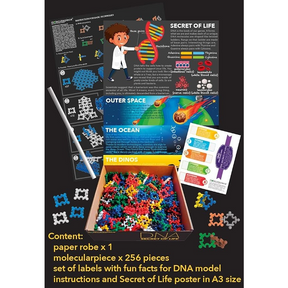 A colorful display of 256 molecular building pieces in various shapes, including red, blue, yellow, green, and purple, positioned in a box labeled "DNA SECRET OF LIFE." The image also features instruction sheets with illustrations and facts about DNA, alongside a paper robe and a label sheet.