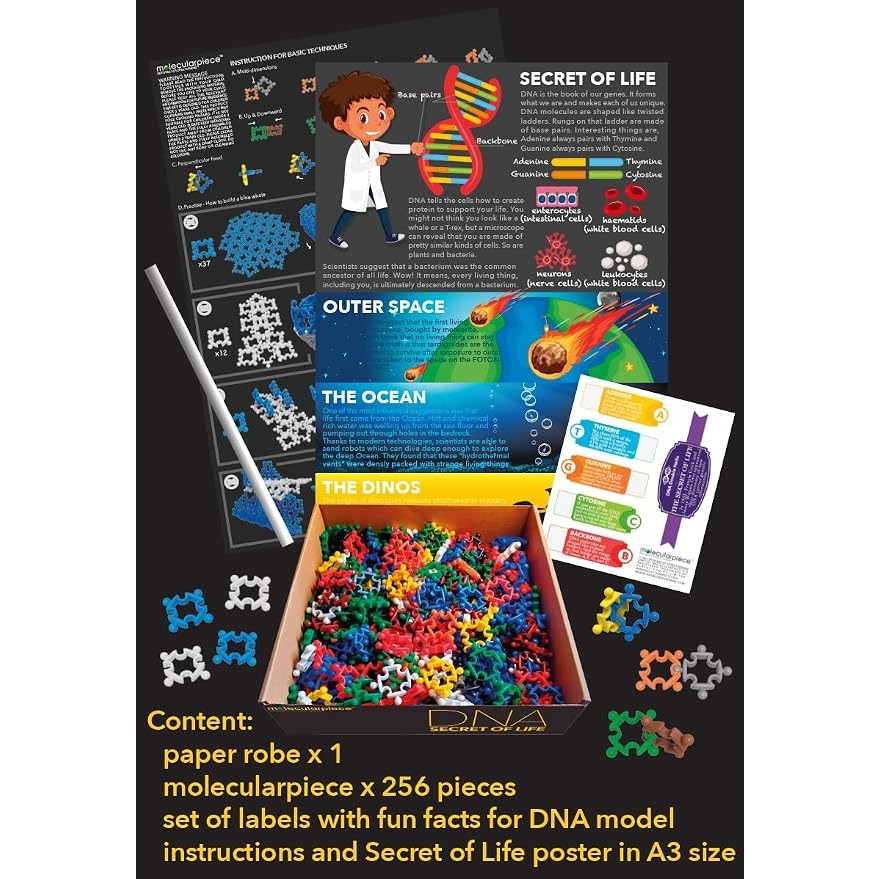 A colorful display of 256 molecular building pieces in various shapes, including red, blue, yellow, green, and purple, positioned in a box labeled "DNA SECRET OF LIFE." The image also features instruction sheets with illustrations and facts about DNA, alongside a paper robe and a label sheet.
