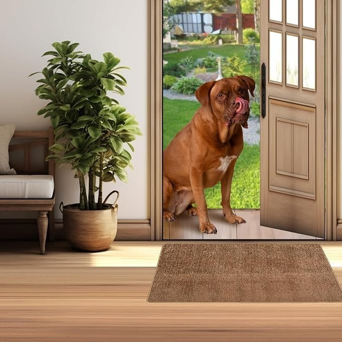 A beige doormat rests on a wooden floor near an open doorway, with a brown dog sitting in the entryway and greenery visible outside.