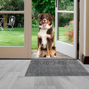 The gray doormat is positioned just inside an open door, with a dog sitting outside on a stone pathway, surrounded by a green garden. The doormat features a textured surface that captures dirt and moisture.