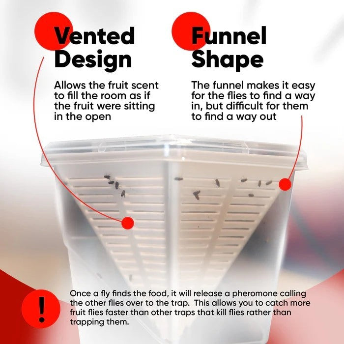 Clear plastic fruit fly trap with a funnel shape and vented design, showcasing fly entry points and the interior structure. Text highlights include features such as "Vented Design" and "Funnel Shape," explaining their benefits for attracting flies.