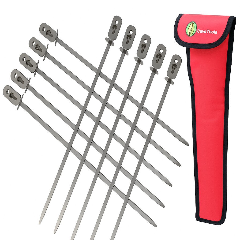 Ten stainless steel flat skewers arranged in a row, featuring rounded ends for secure kebabbing, alongside a red carrying case with a black trim.