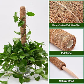 A moss pole wrapped in natural coir is shown with a trailing plant climbing up it, surrounded by lush green leaves in a white pot. Insets highlight the pole's coir fiber texture, a PVC cube base, and a wooden stake attachment.