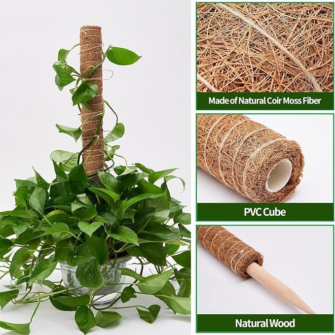 A moss pole wrapped in natural coir is shown with a trailing plant climbing up it, surrounded by lush green leaves in a white pot. Insets highlight the pole's coir fiber texture, a PVC cube base, and a wooden stake attachment.