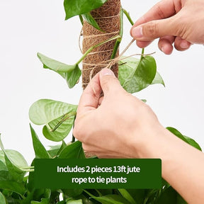 Hands are shown tying a plant vine to a natural coir moss pole using a piece of jute rope, with lush green leaves surrounding the pole.