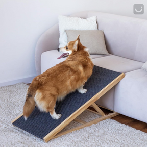 Foldable Wood Dog Ramp For Large Or Small Pets - Up To 100lbs. Ships Free!