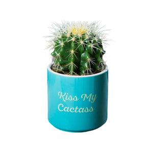 Funny 3.5" Ceramic Planters - Great for Plants, Succulents, Herbs & Cacti
