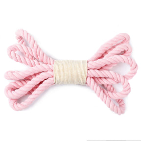 10" Parklife Organic Cotton Loopsy Loop Rope Dog Toy - Tug O' War Time