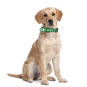 Dublin Dog Original No Stink Collar – Waterproof, Bacteria-Free
