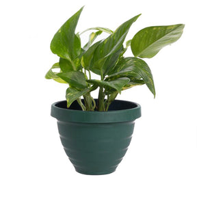 10pk Self-Watering Easy Care 6” Planter Pots By HC Companies