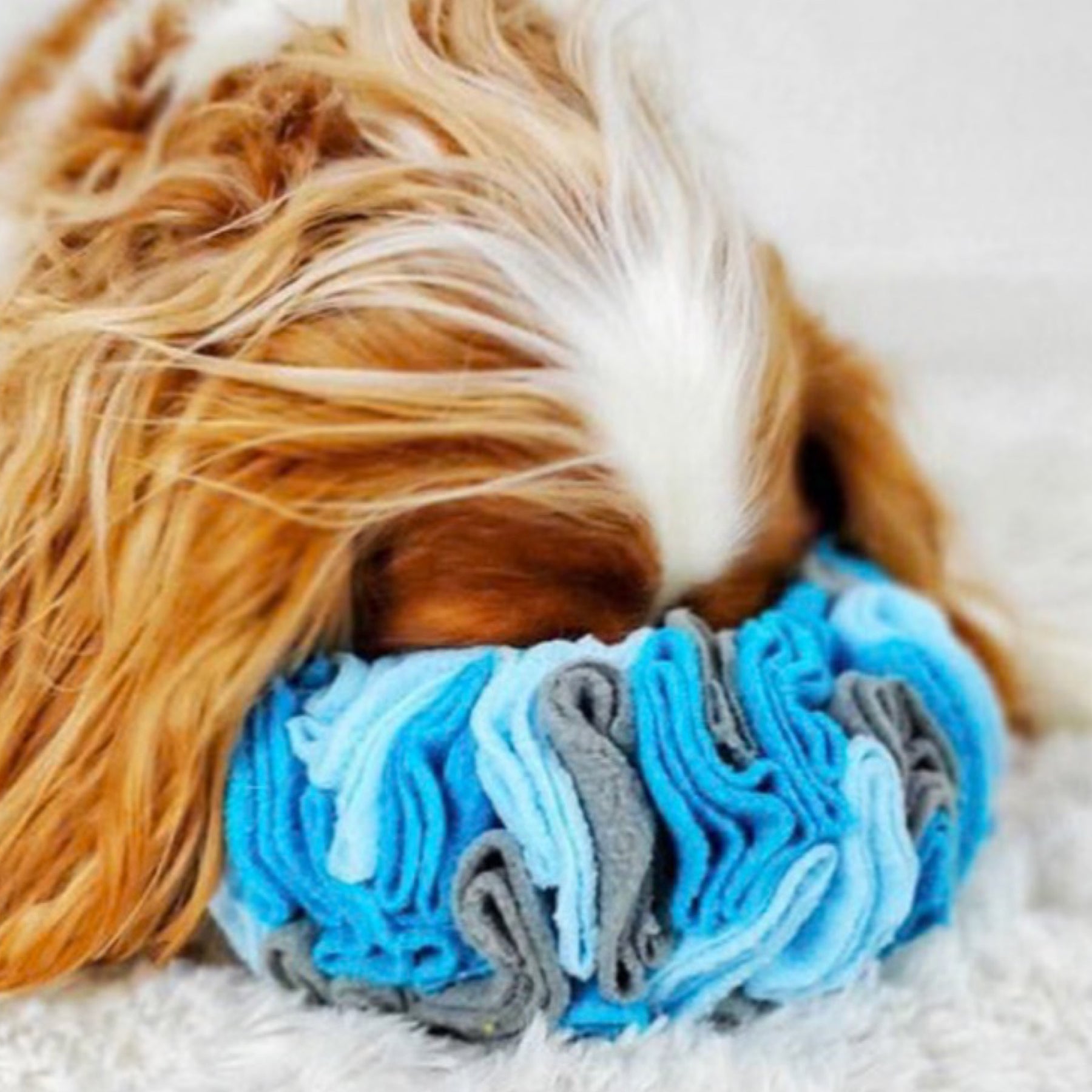 9" Hide'n Seek Snuffle Ring Dog Toy By fouFIT - Hide Treats Inside!